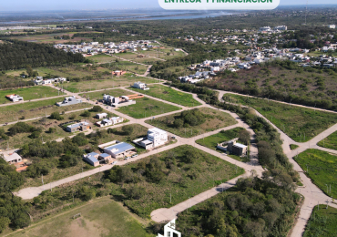 Loteo Lapachos